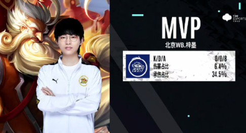 的长期战术 的长期战术